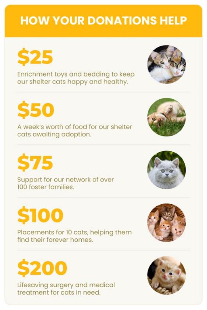 $120 Million Donation Makes First Arkansas Art School Possible