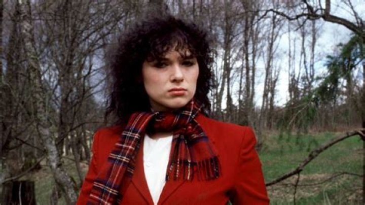 Ann Wilson Net Worth | Celebrity Net Worth