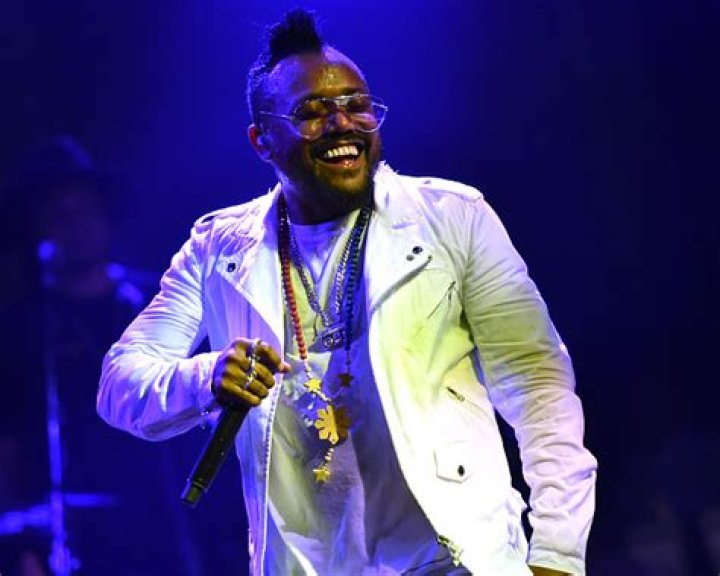 apl.de.ap Net Worth | Celebrity Net Worth