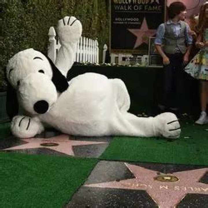 Decades After His Death The Estate Of Charles Schulz Is Still Making A TON Of Money