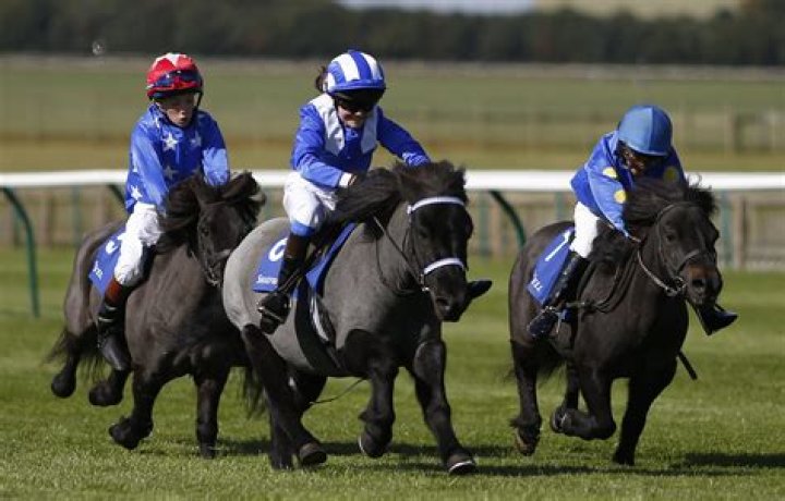 Joe C Net Worth | Celebrity Net Worth