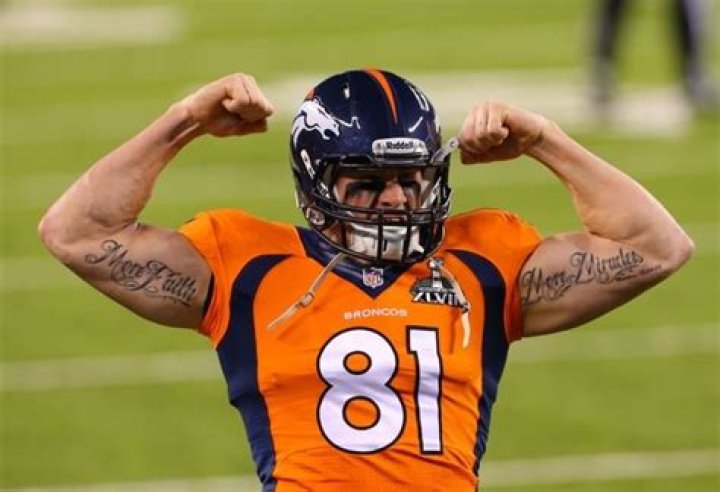 Joel Dreessen Net Worth | Celebrity Net Worth