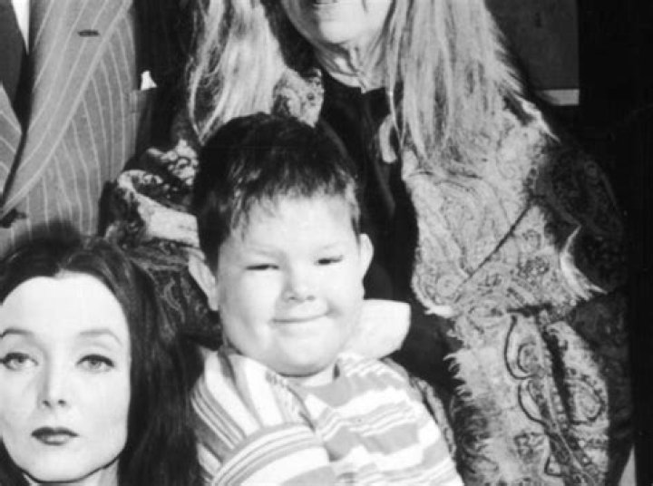 Ken Weatherwax Net Worth | Celebrity Net Worth