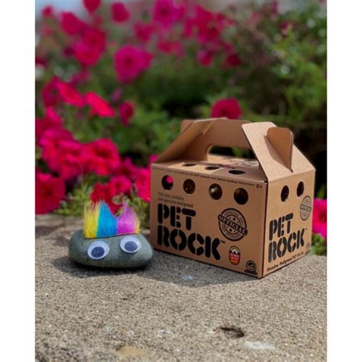 Mark Cuban Would Rather Have A Pet Rock Than Buy Bitcoin