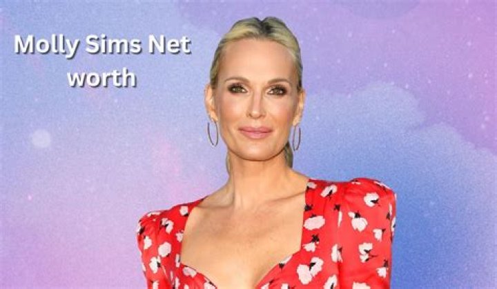 Molly Sims Net Worth | Celebrity Net Worth