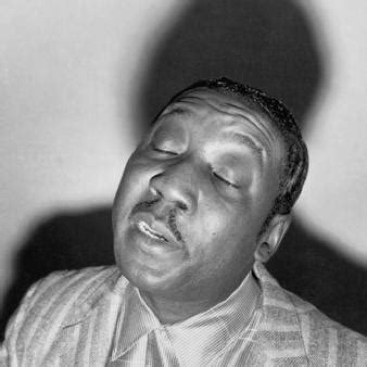 Muddy Waters Net Worth | Celebrity Net Worth