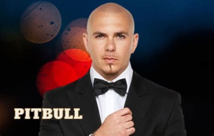 Pitbull Net Worth | Celebrity Net Worth