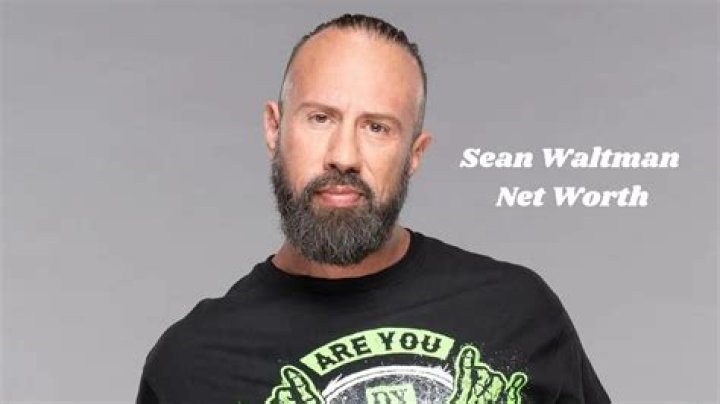 Sean Waltman Net Worth | Celebrity Net Worth