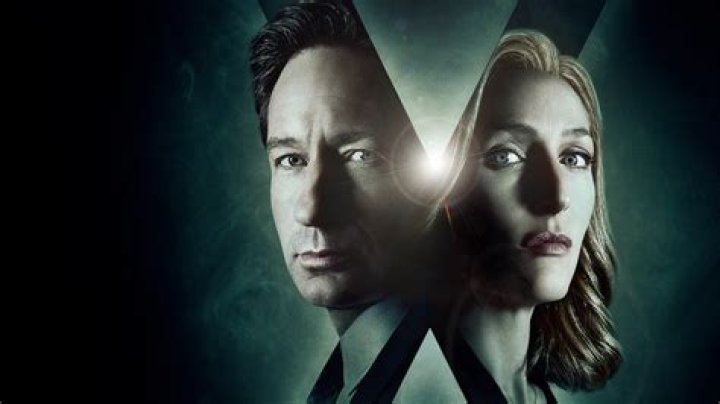 How Much Is The X-Files Cast Worth Today And What Have They Been Up To Recently?