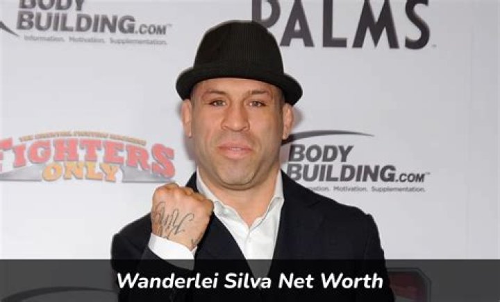 Wanderlei Silva Net Worth | Celebrity Net Worth