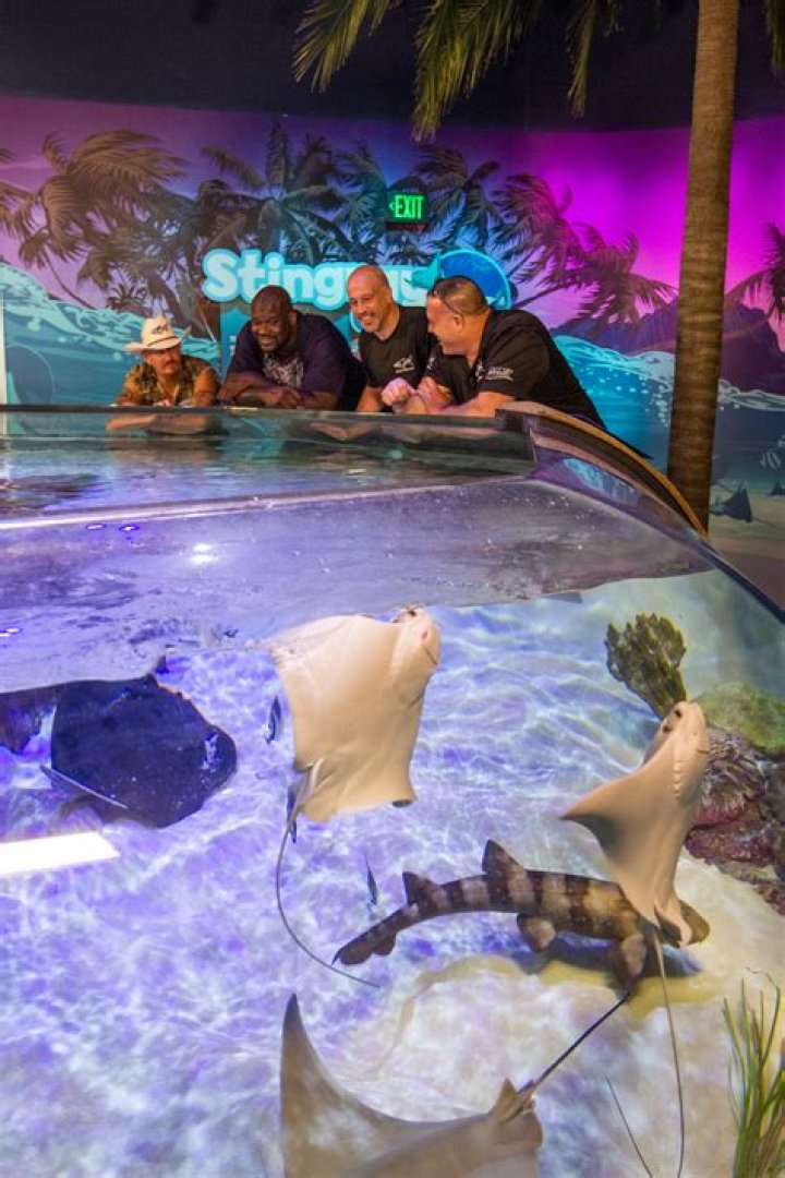 Wayde King Net Worth | Celebrity Net Worth